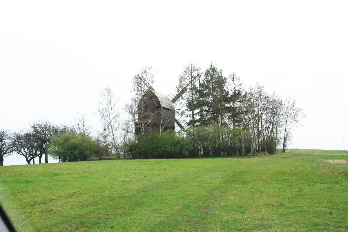 Bockwindmühle Sargstedt eig. Foto